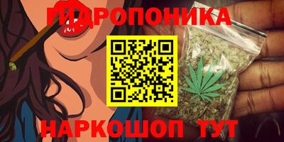 стаф Моздок