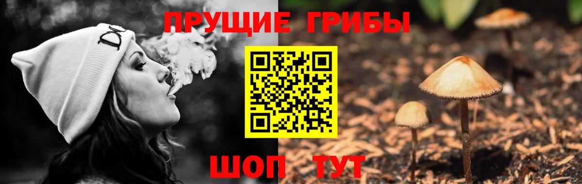 Псилоцибиновые грибы мухоморы  Вход с VPN  Алапаевск 